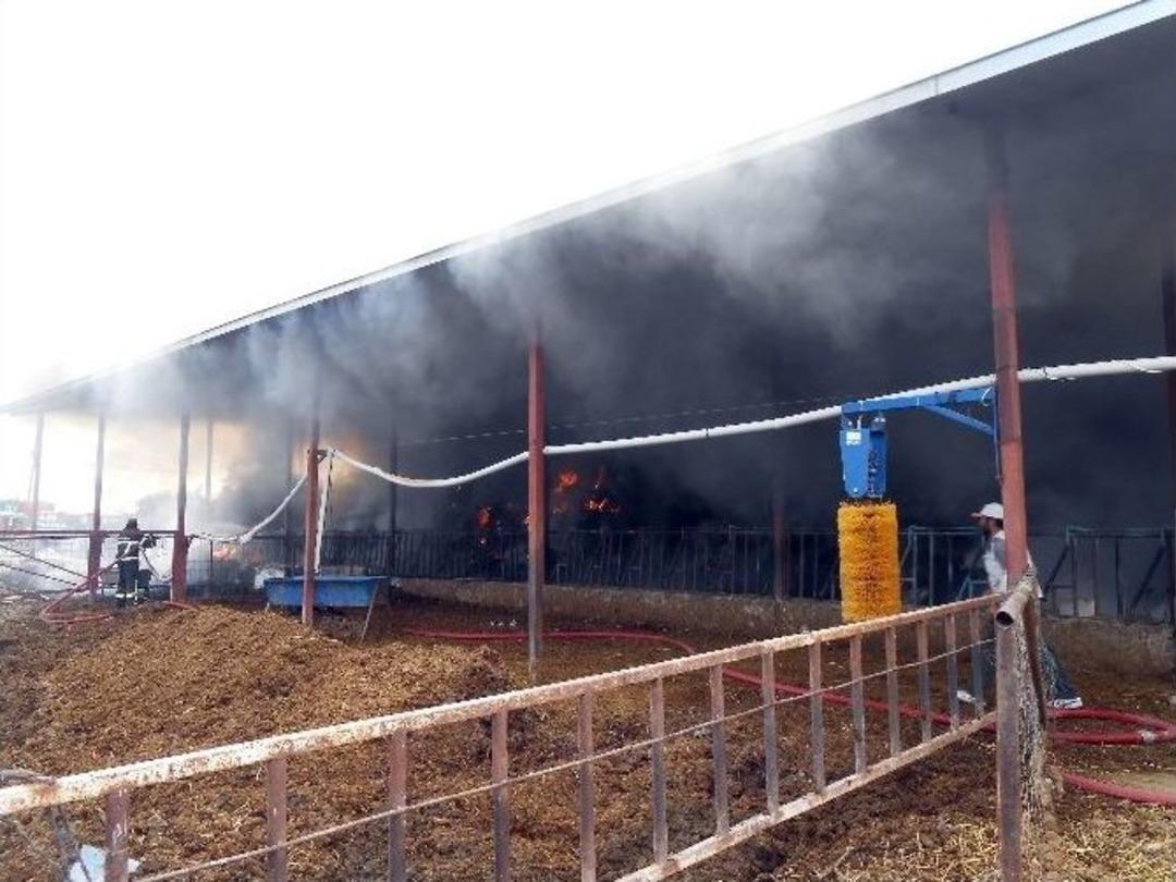 İki Bin Balya Yandı