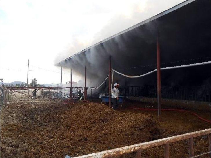 İki Bin Balya Yandı G1