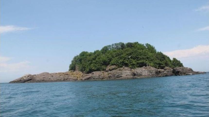 Giresun Adası&rsquo;nda Tarihe Yolculuk Başlıyor