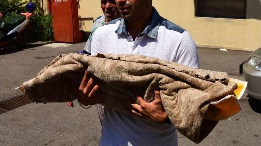 11 Aylık Bebek Salıncak İpiyle Boğuldu