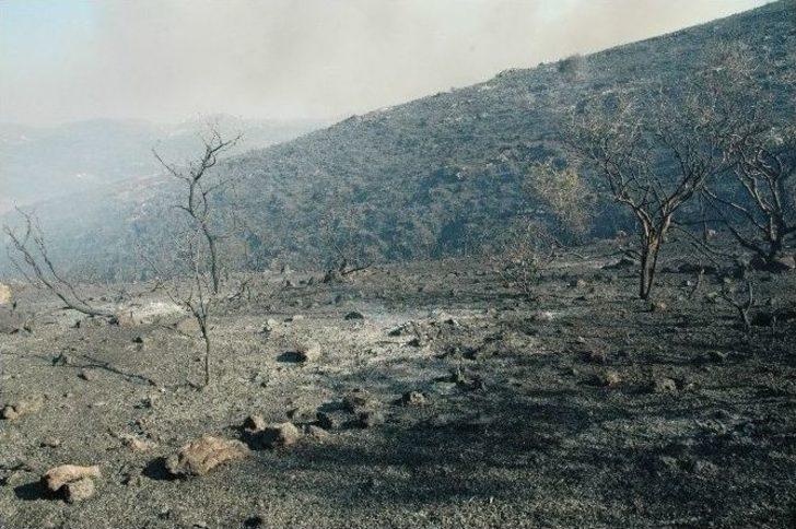 Bodrum’da 121 Hektarlık Alan Kül Oldu G3