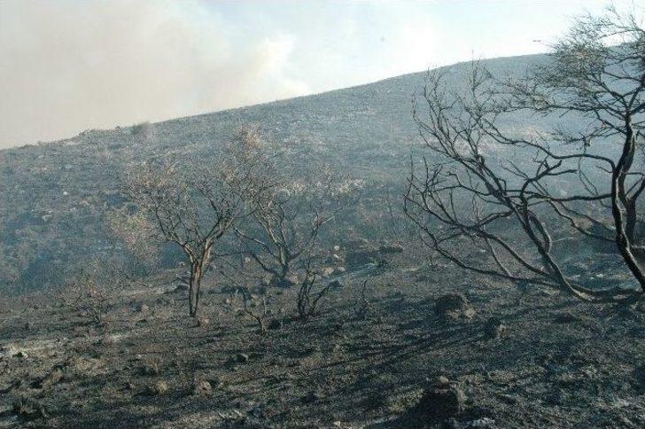 Bodrum’da 121 Hektarlık Alan Kül Oldu G5