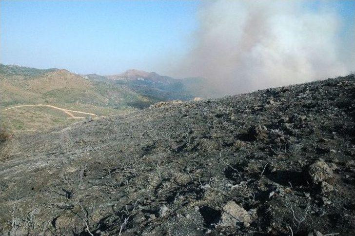 Bodrum’da 121 Hektarlık Alan Kül Oldu G1