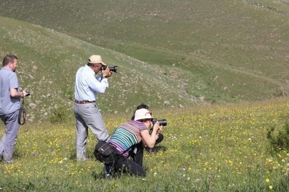 Fotoğraf&ccedil;ı G&ouml;z&uuml;yle Ardahan