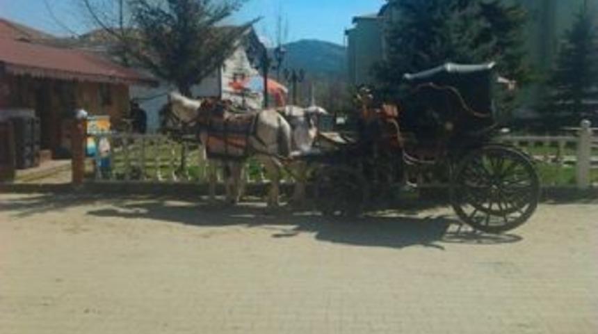 Turistler Fayton İ&ccedil;in Daday&rsquo;a Akın Ediyor