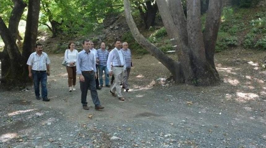 Yunusemre Belediyesi Piknik Alanlarını G&uuml;zelleştiriyor