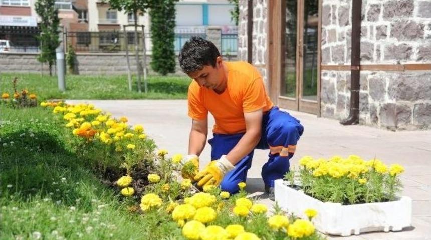 Altındağ Mis Gibi &Ccedil;i&ccedil;ek Koktu