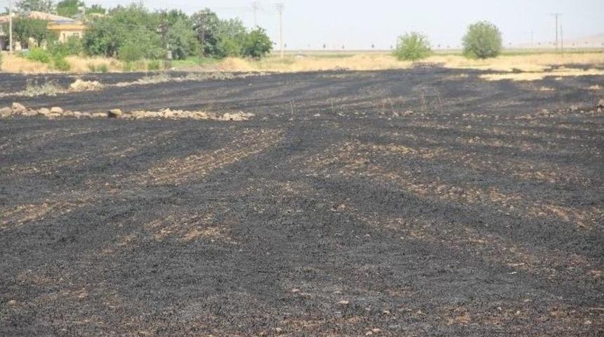 İha&rsquo;nın &Ccedil;ektiği G&ouml;r&uuml;nt&uuml;ler Yetkilileri Harekete Ge&ccedil;irdi