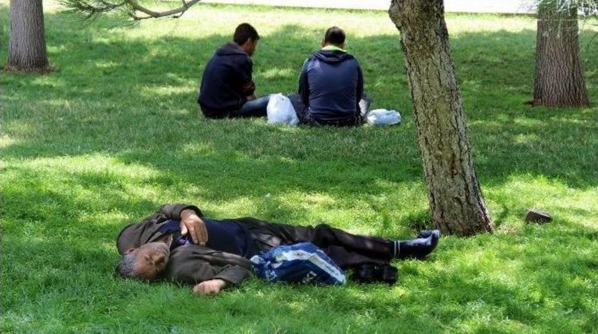 Sıcak Havadan Bunalan Vatandaşlar Ağa&ccedil; G&ouml;lgelerinde Serinledi