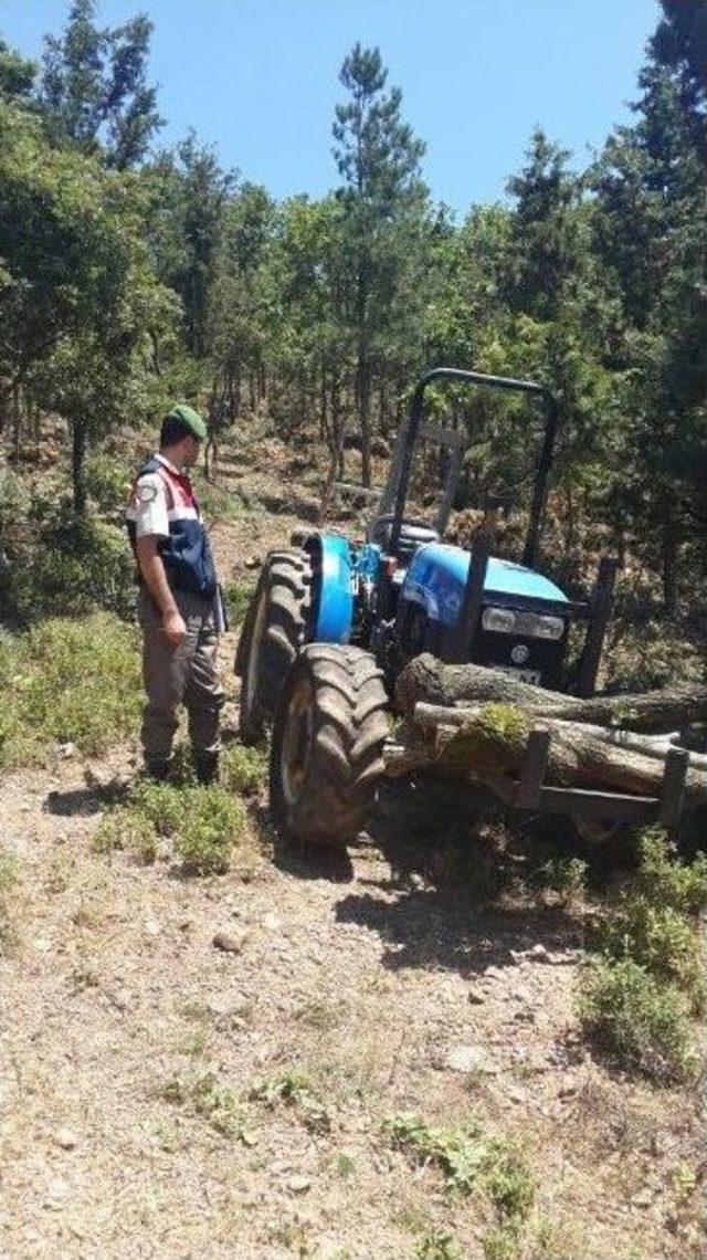 El Freni Çekilmeden Park Edilen Traktör, Sürücüsünü Ezdi