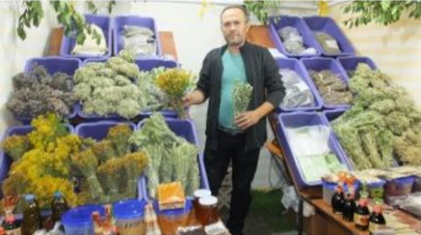 Kazdağının Şifalı Otları Ge&ccedil;im Kaynağı Oldu