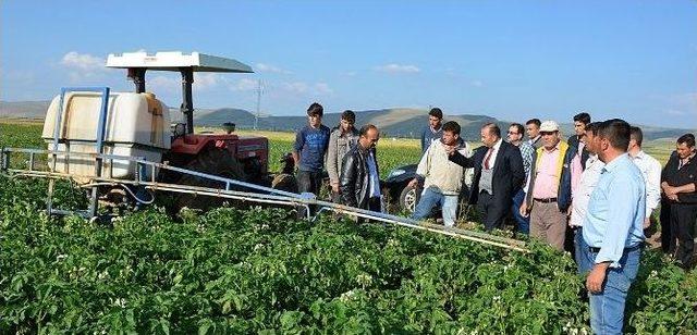 Afyonkarahisar’da “patates Mildiyösü” Hastalığı İle Mücadele Çalışmaları Başladı