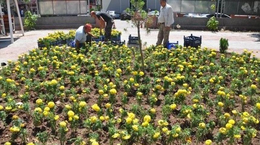 Yazlık &Ccedil;i&ccedil;ek Dikimi Devam Ediyor