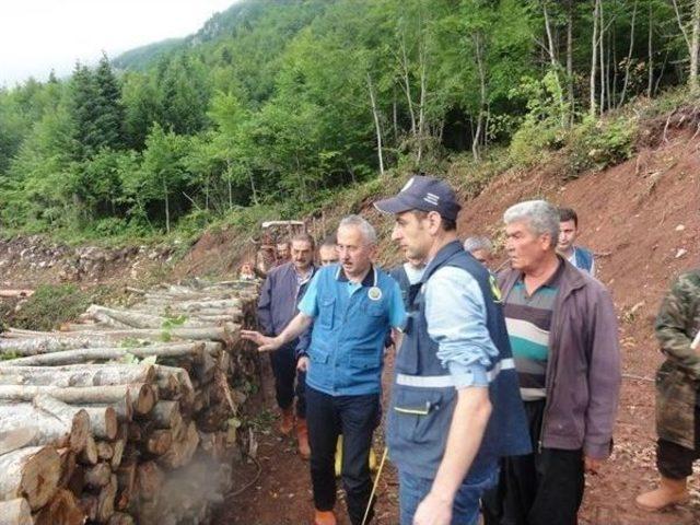 Orman Bölge Müdürü’nden Bartın’da İnceleme Gezisi