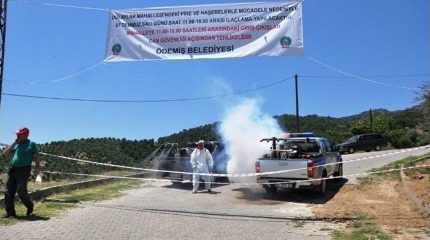 İzmir&rsquo;de Pire Ve Sivrisinek Karantinası