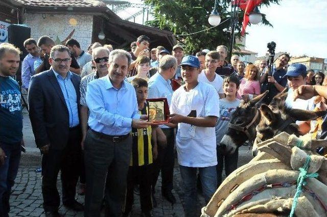 En Güzel Gözlü Ve En Hızlı Koşan Eşek Yarışması