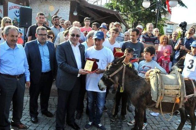 En Güzel Gözlü Ve En Hızlı Koşan Eşek Yarışması