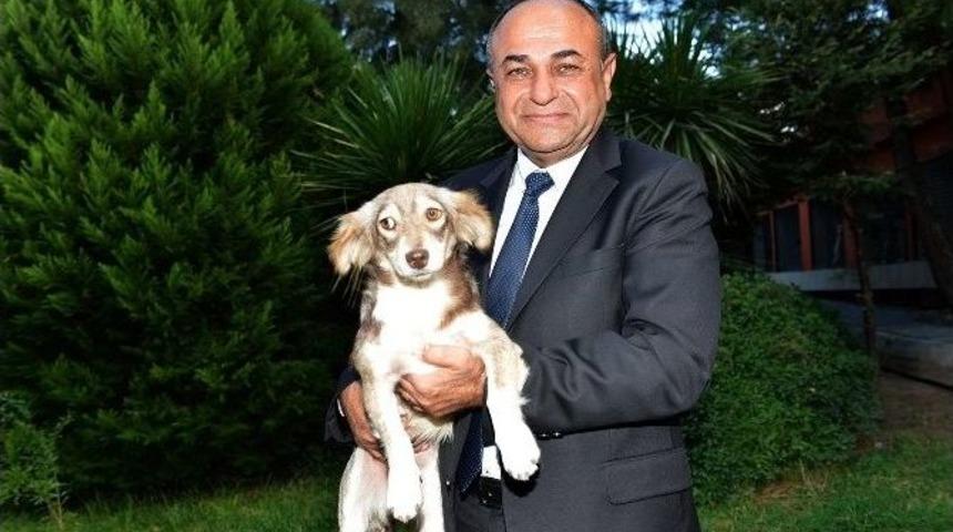 &Ccedil;iğli Belediyesi&rsquo;nden Hayvanlara &Ouml;zel Bakımevi