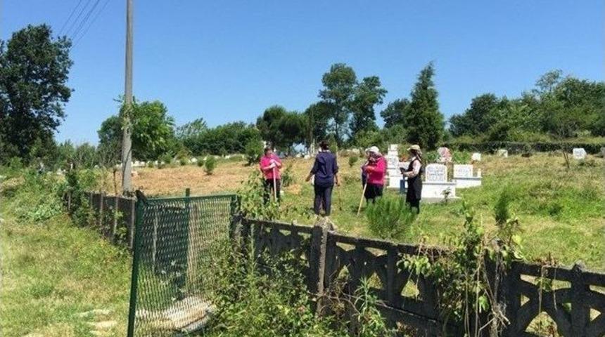 Saltukova&rsquo;da Mezarlıkların Temizliğine Başlandı