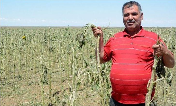 (özel Haber) Sel Ve Dolu Afetinin Acı Bilançosu 38 Milyon Tl G5