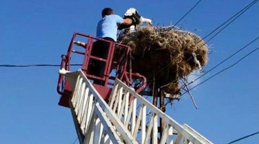 Yuvadan D&uuml;şen Yavru Leyleği Itfaiye Yerine Koydu