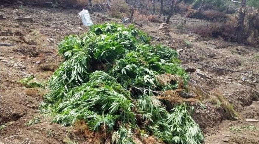 Balıkesir&rsquo;de Uyuşturucu Operasyonu