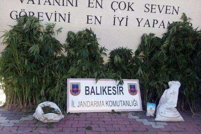 Balıkesir’de Uyuşturucu Operasyonu