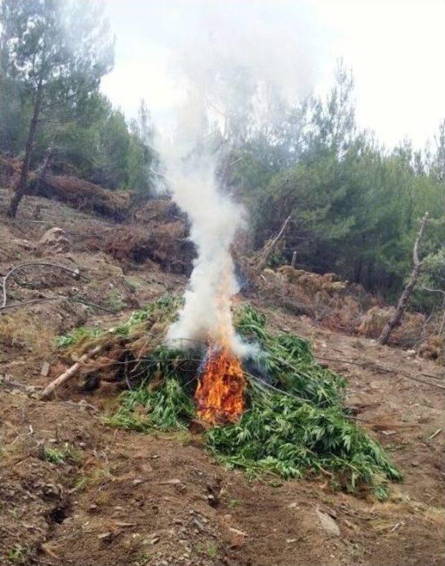 Balıkesir’de Uyuşturucu Operasyonu