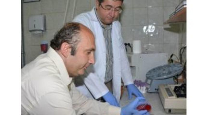 Bitkisel Verimi Artıran Buluşun Patenti Alındı