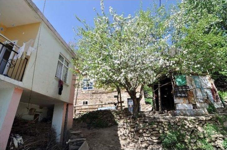 Çayır Köyü Bitlis’in En Titiz Köyü G1
