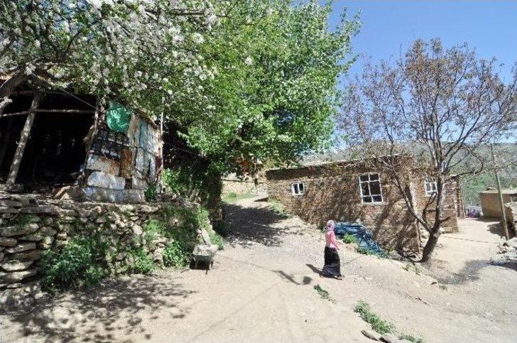 Çayır Köyü Bitlis’in En Titiz Köyü G2
