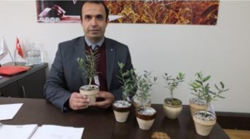 Burhaniye&rsquo;de Biyolojik M&uuml;cadele Desteklemesi