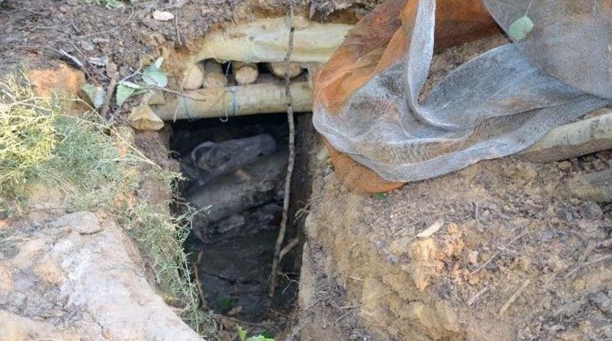 Bing&ouml;l&rsquo;de Ter&ouml;r &Ouml;rg&uuml;t&uuml;ne Darbe