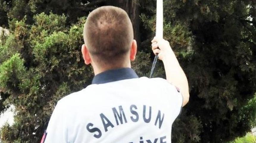 İtfaiye, K&ouml;pekten Ka&ccedil;ıp Ağa&ccedil;ta Mahsur Kalan Kediyi Kurtardı