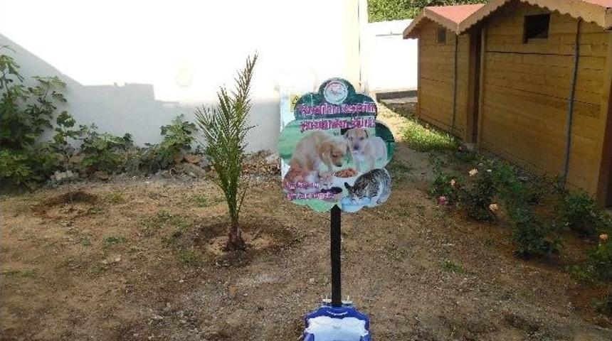 G&ouml;k&ccedil;eada&rsquo;da Sokak Hayvanları İ&ccedil;in Su Kabı