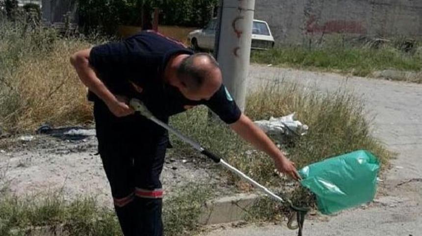 Kuşu Kapan Yılan Telef Oldu, Mahalle Sakinleri Canlı Sanıp Korktu