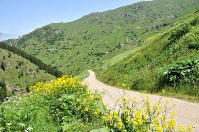 Rize Valisi Yeşil Yol Eylemcilerine Kızdı: Lüks Araçları Ile Gelip Çalıp Oynayacaklar, Ahkam Kesecekler