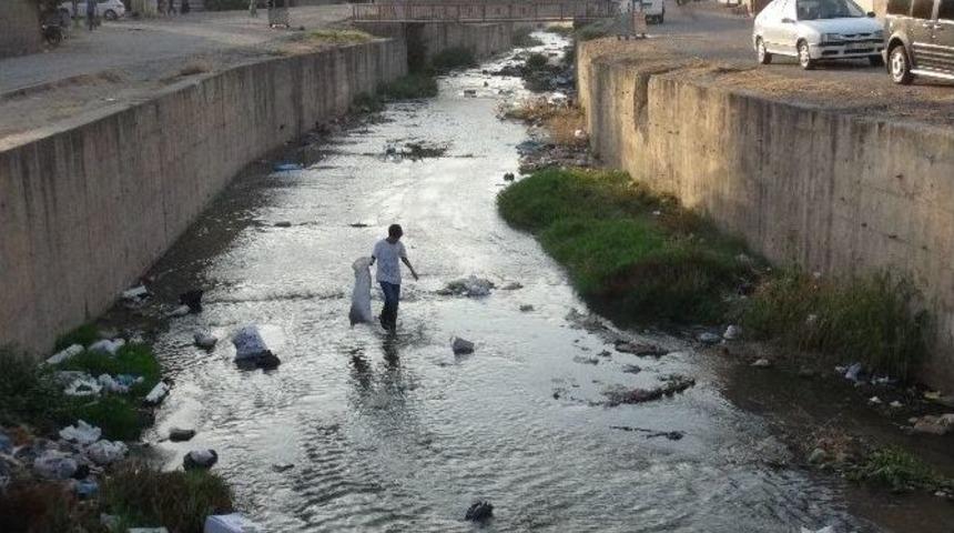 Y&uuml;rek Burkan Kare