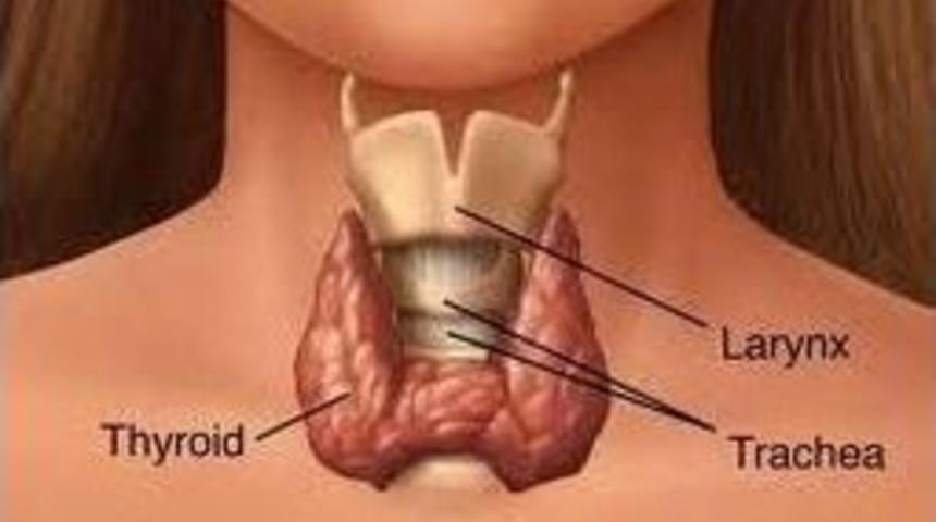 Guatr Hakkında Neler Biliyoruz