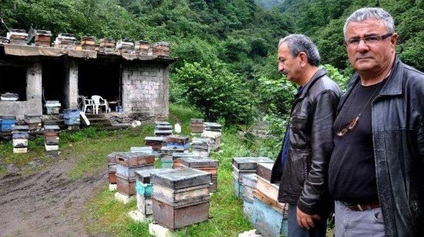 Mevsim Şartları Arıcıları Ters K&ouml;şeye Yatırdı