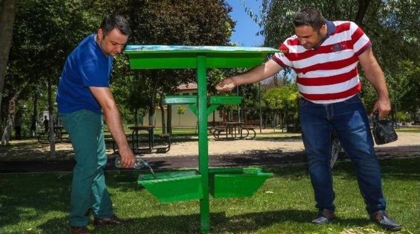 Şehitkamil Belediyesi Sokak Hayvanlarına &rsquo;beslenme Noktaları&rsquo;yla Destek Oluyor