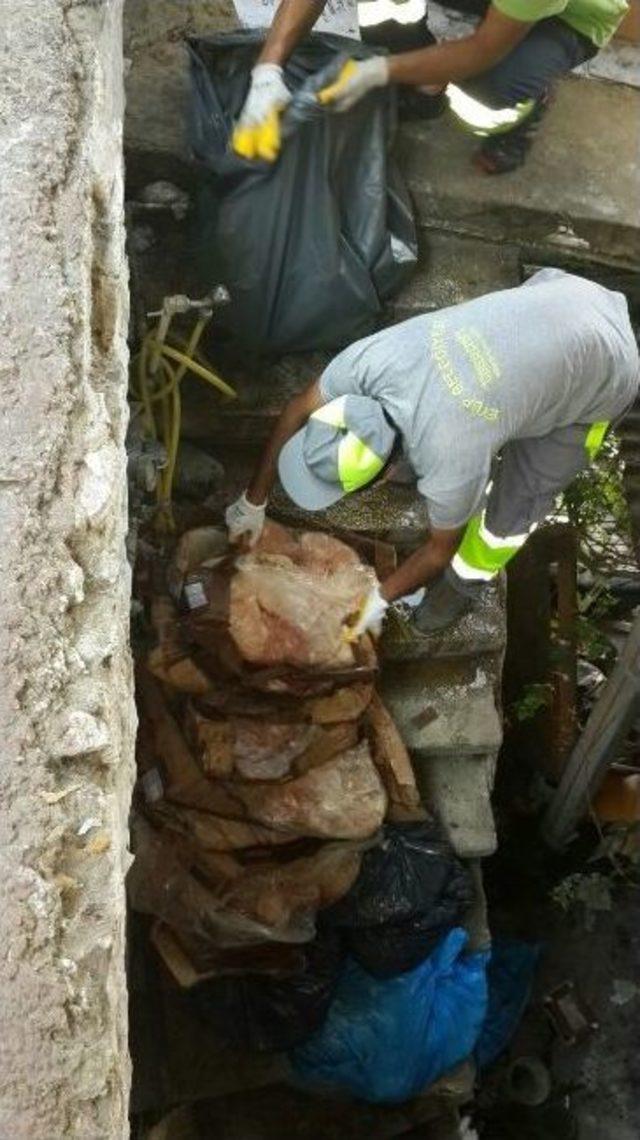 Bozulmuş Et Yedirilen Köpekler Tedavi Altına Alındı