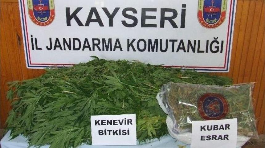 Jandarma Ekiplerinden Uyuşturucu Operasyonu