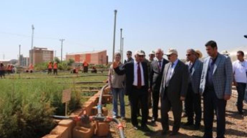 Vali K&ouml;sger, Fidanlığı Ziyaret Etti