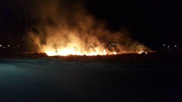 Erzincan’da Anız Yangını
