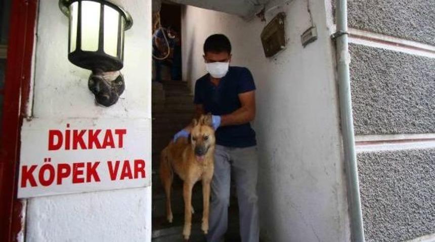 Mahalle Sakinlerini Isyan Ettiren Binaya Mahkeme Kararıyla Tahliye