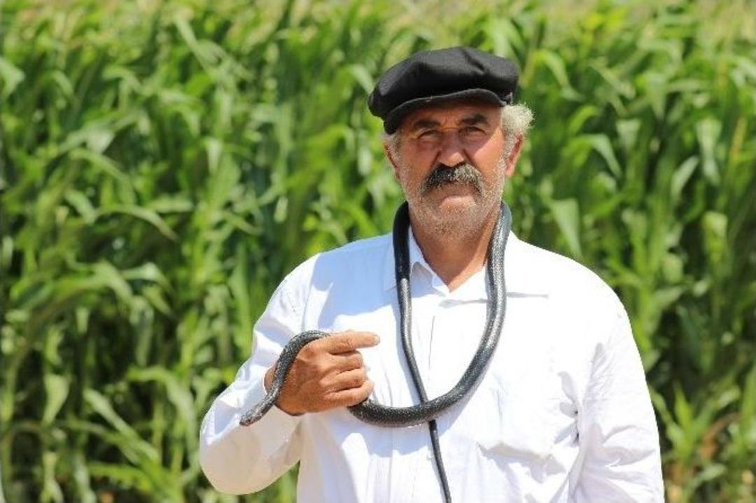 (&ouml;zel Haber) 40 Yıldır Yılanlarla Yaşıyor