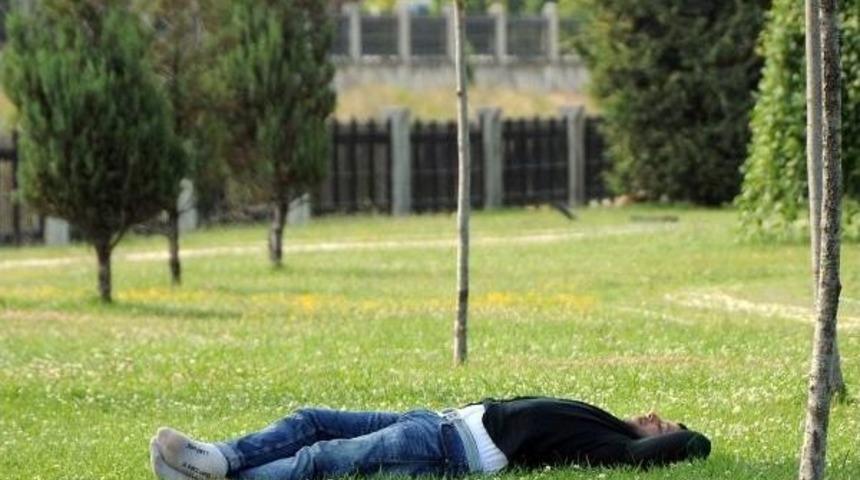 Sıcaktan Bunalanlar Ağa&ccedil; G&ouml;lgesine Ka&ccedil;ıyor