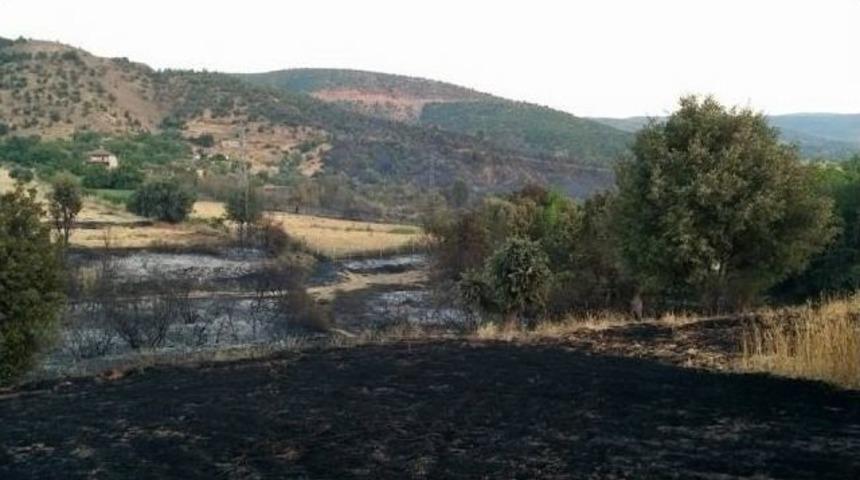 P&uuml;t&uuml;rge&rsquo;de Bah&ccedil;e Yangını Korkuttu
