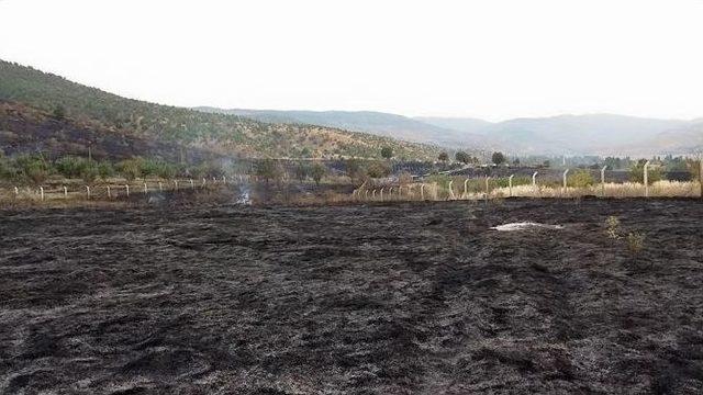 Pütürge’de Bahçe Yangını Korkuttu